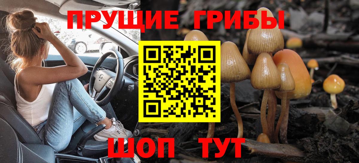 Галлюциногенные грибы ЛСД Баксан