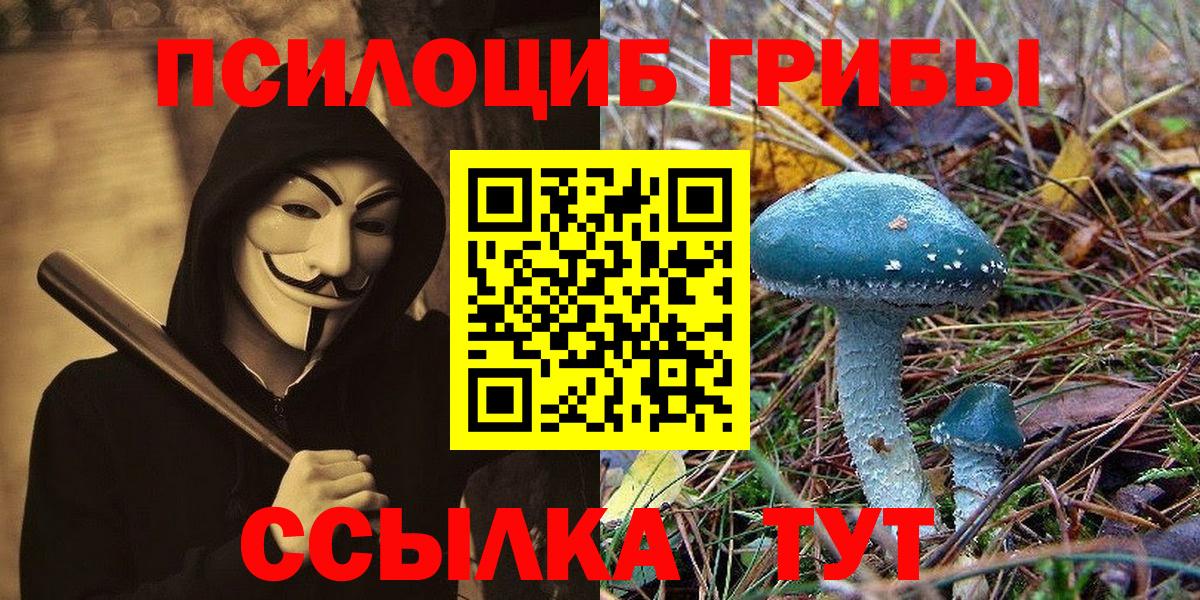 Псилоцибиновые грибы MAGIC MUSHROOMS  Вход с VPN  Баксан 